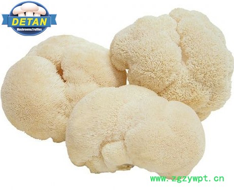 DETAN 新鲜猴头菇图2