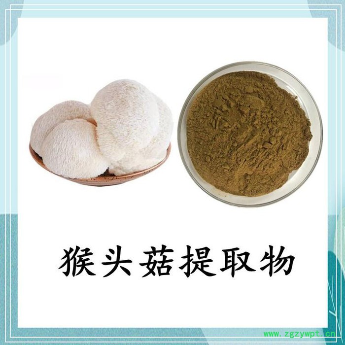 猴头菇提取物10:1 猴头菇多糖 速溶猴头菇粉图4