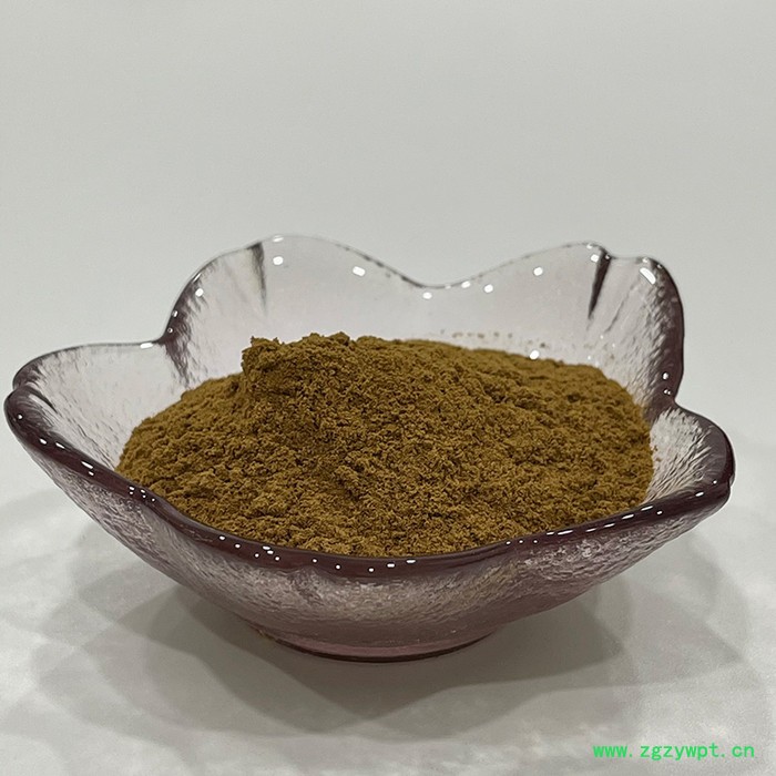 金萃坊厂家现货供应 白桦茸提取物 白桦茸多酚10%图2