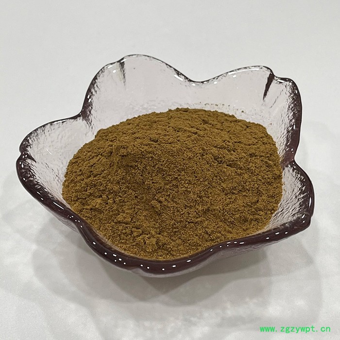 金萃坊厂家现货供应 白桦茸提取物 白桦茸多酚10%