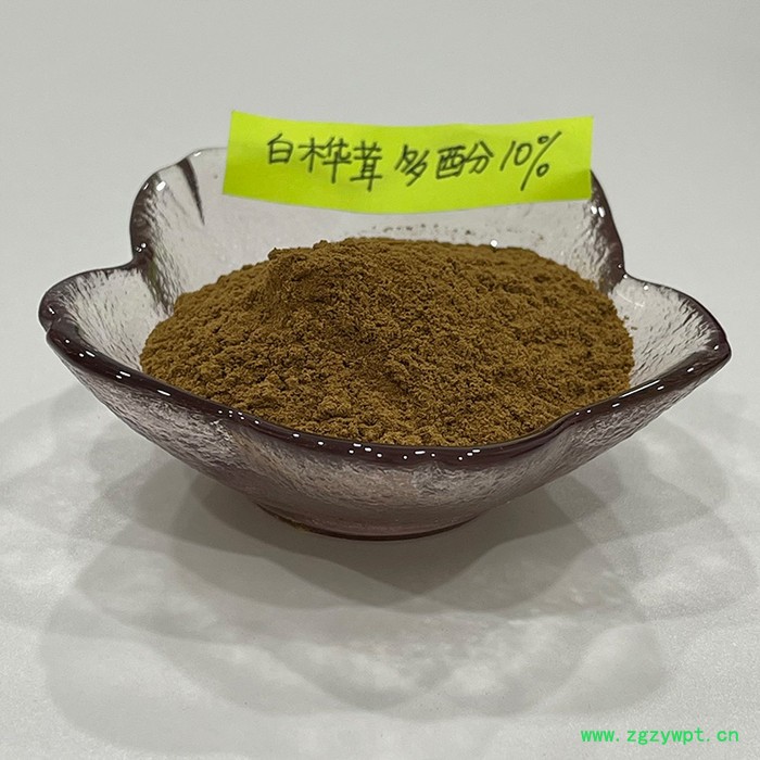金萃坊厂家现货供应 白桦茸提取物 白桦茸多酚10%图3