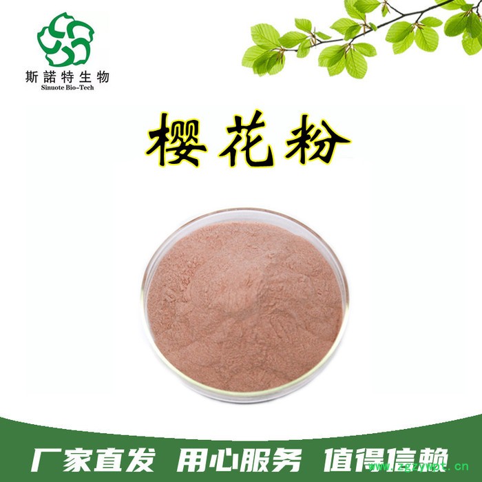 斯诺特生物 白桦茸提取物 浓缩植物多糖 白桦茸粉原料图6