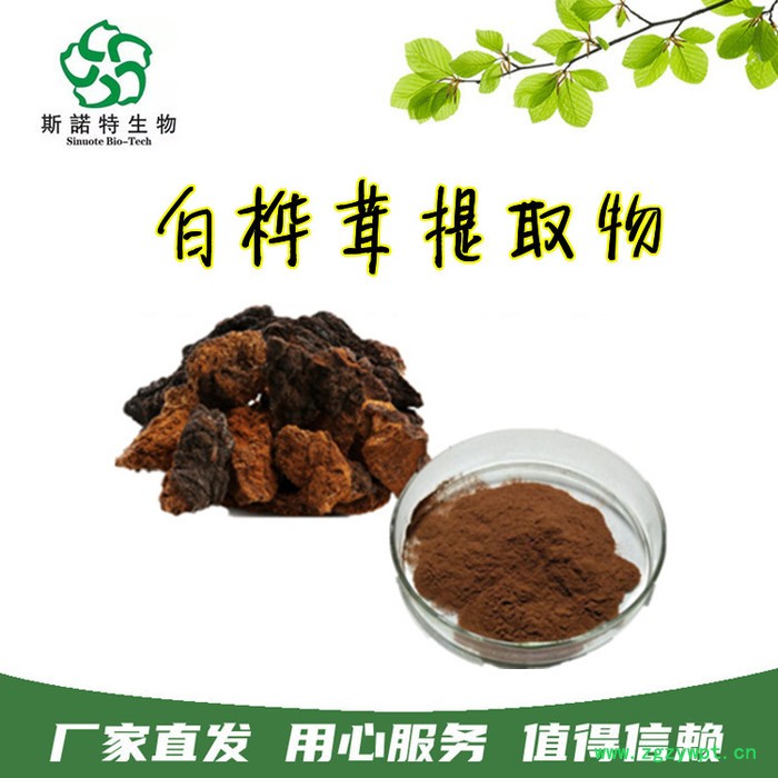 斯诺特生物 白桦茸提取物 浓缩植物多糖 白桦茸粉原料图7