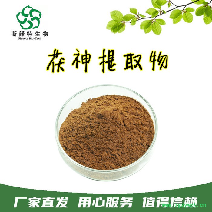 斯诺特生物 白桦茸提取物 浓缩植物多糖 白桦茸粉原料图4