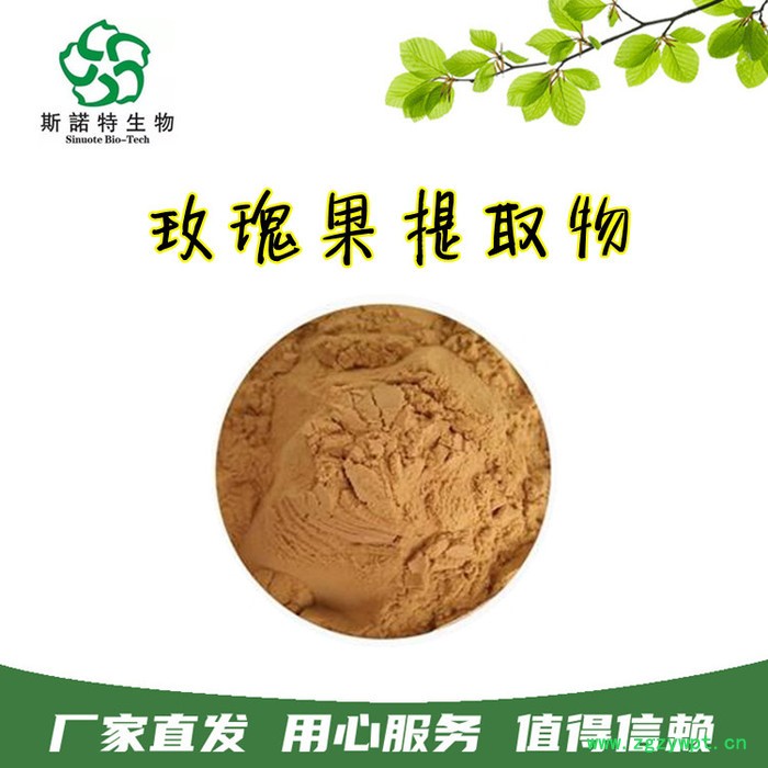 斯诺特生物 白桦茸提取物 浓缩植物多糖 白桦茸粉原料图3