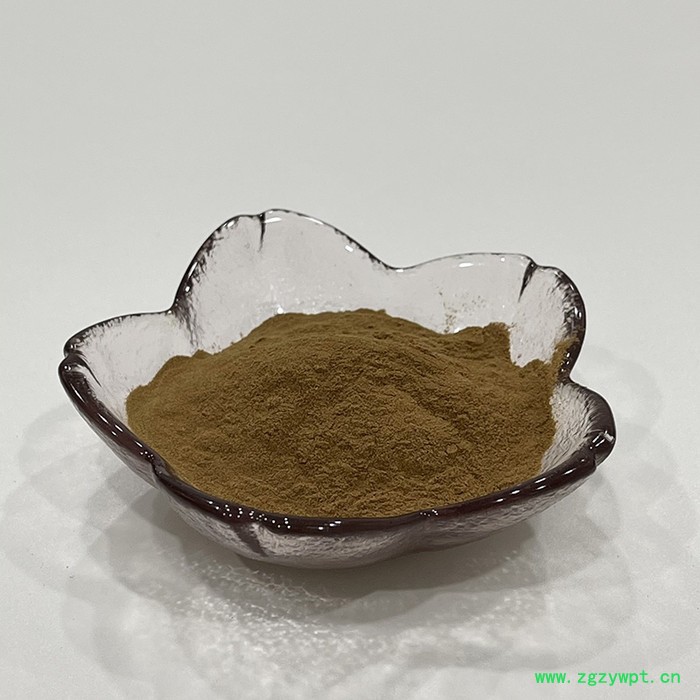 金萃坊 昆布萃取物 昆布提取物10：1 厂家现货供应