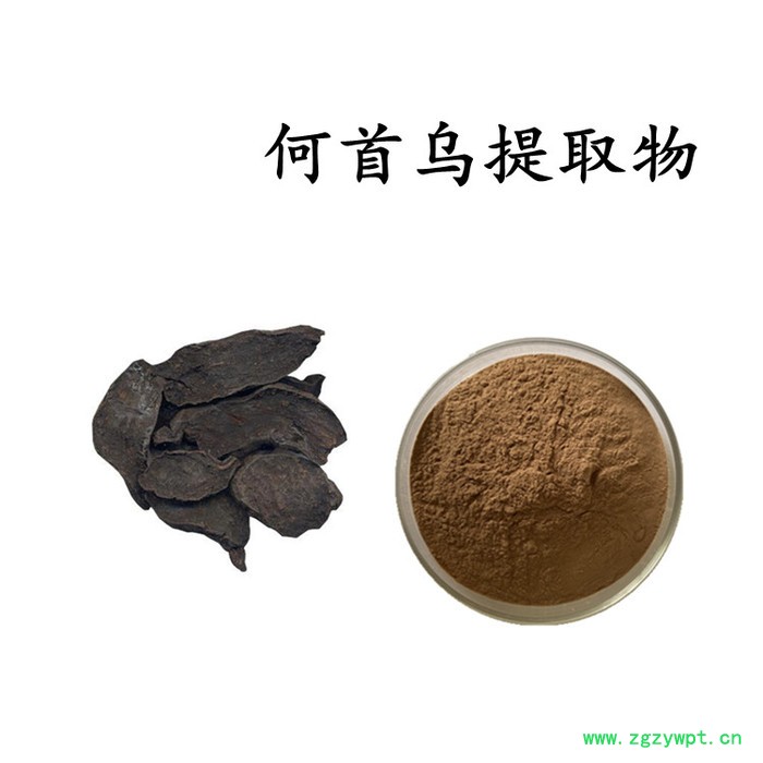 猴头菇提取物  水溶 可定制 猴头菇浓缩粉图4