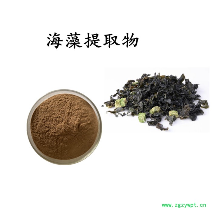 猴头菇提取物  水溶 可定制 猴头菇浓缩粉图2