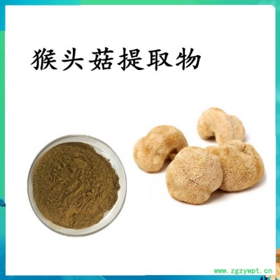 猴头菇提取物  水溶 可定制 猴头菇浓缩粉