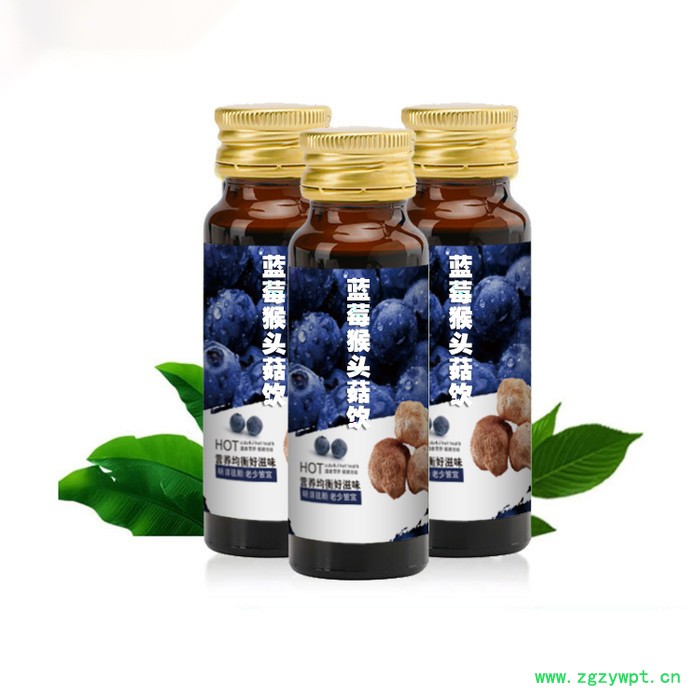 蓝莓猴头菇饮品oem代加工 蓝莓猴头菇液体饮料贴牌定制