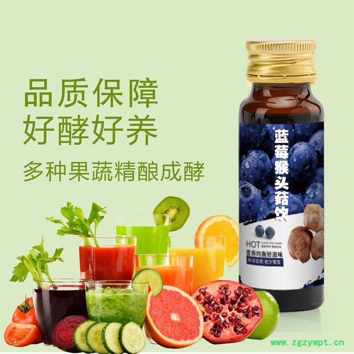 蓝莓猴头菇饮品oem代加工 蓝莓猴头菇液体饮料贴牌定制图5