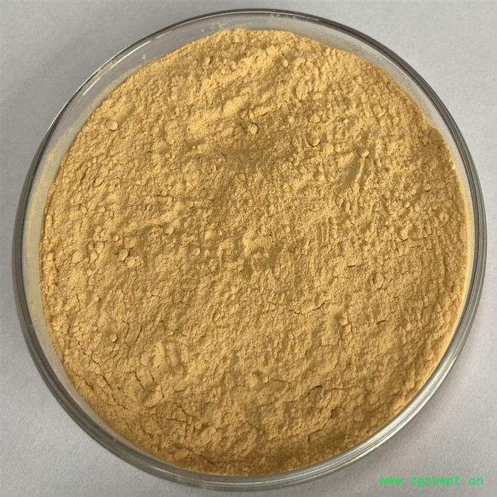 猴头菇粉 可定制 六盘韵 水溶 植提厂家图5