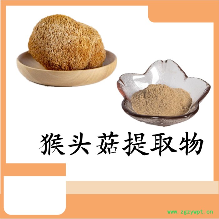 猴头菇粉 可定制 六盘韵 水溶 植提厂家图2