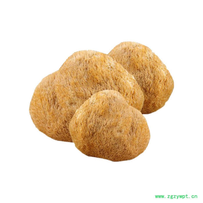 猴头菇粉 可定制 六盘韵 水溶 植提厂家图6