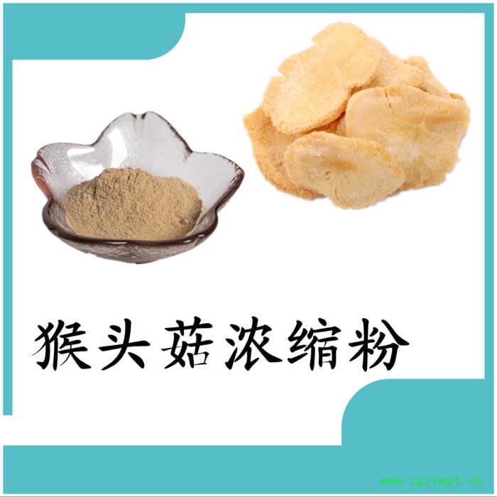 猴头菇粉 可定制 六盘韵 水溶 植提厂家图3