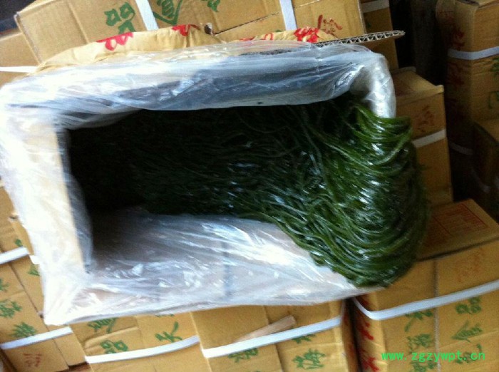 荣成特产华珍 新鲜海带昆布丝净2500g 盐渍海带丝图4