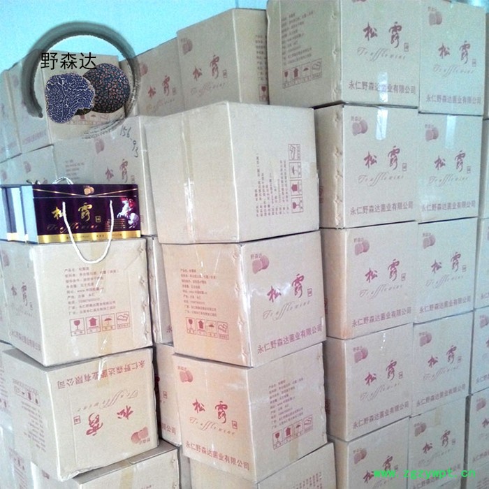 夏松露酒 松露精华液 菌香突出 松露产地 山珍 ** 松露酒图5