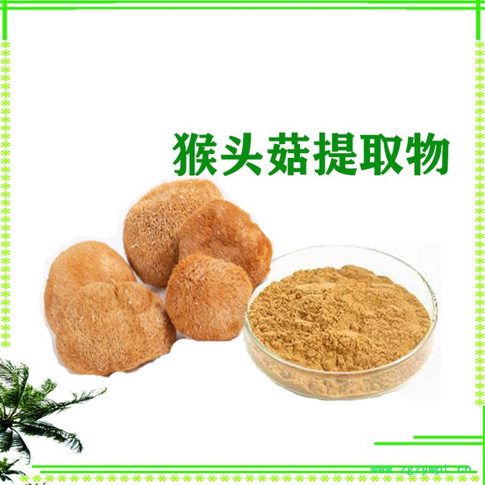 猴头菇提取物10:1  猴头菇多糖  猴头菇粉  食品级原料图4