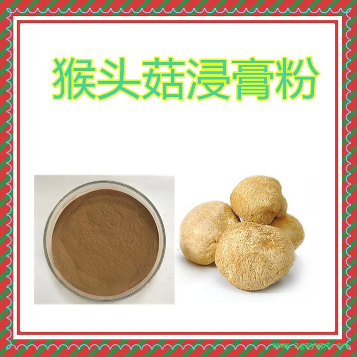 甘肃斯诺特  猴头菇粉  量大从优    猴头菇浸膏粉图2