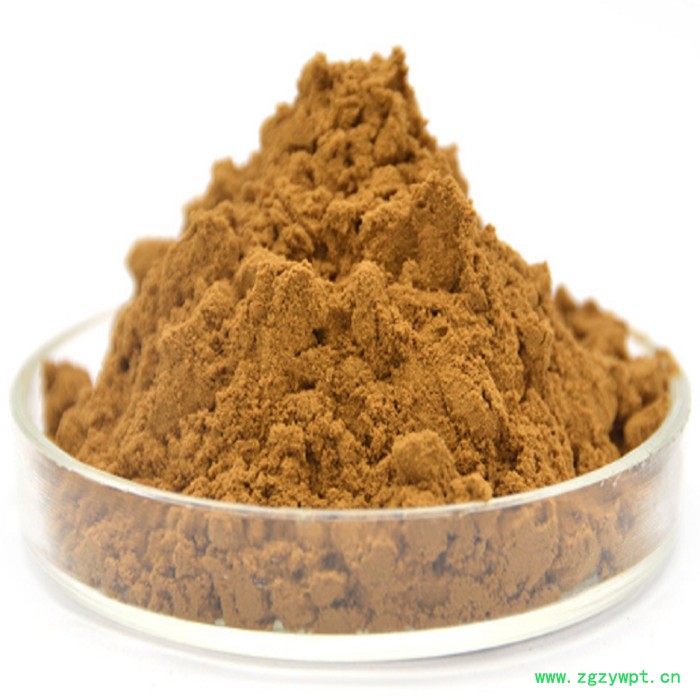 甘肃斯诺特  猴头菇粉  量大从优    猴头菇浸膏粉