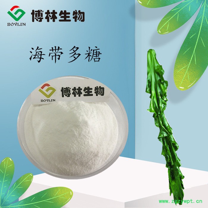 海带多糖50% 昆布多糖 褐藻多糖 海带提取物 海带多糖纯粉图2