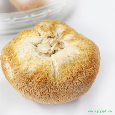 猴头菇福建特产食用菌猴头菇天然绿色有猴头蘑菇健胃滋补养生