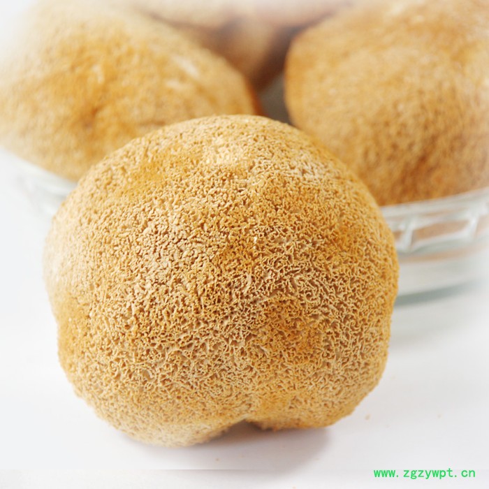 猴头菇福建特产食用菌猴头菇天然绿色有猴头蘑菇健胃滋补养生图3