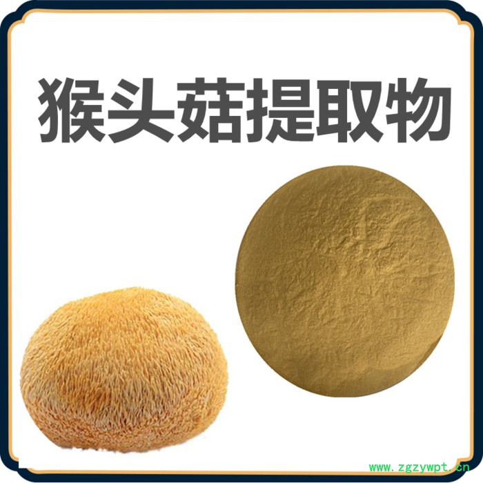 猴头菇提取物  可定制   水溶性 猴头菇粉厂家图3