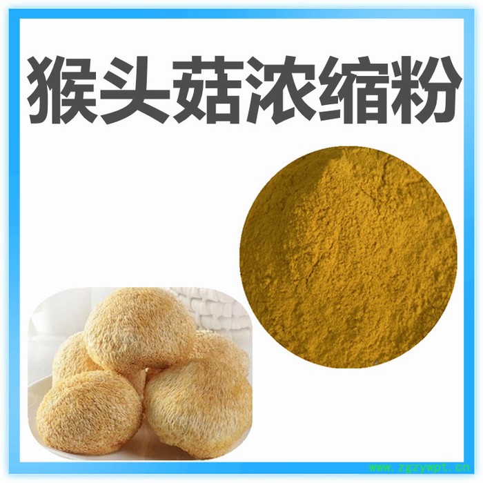 猴头菇提取物  可定制   水溶性 猴头菇粉厂家图2