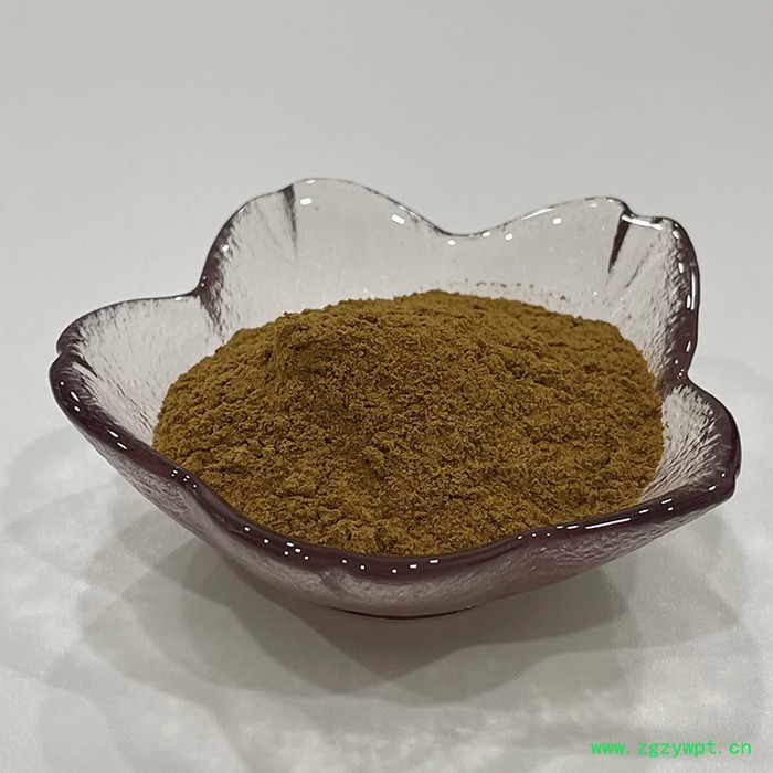 金萃坊厂家现货供应 白桦茸提取物 白桦茸多酚10% 天然提取物图3