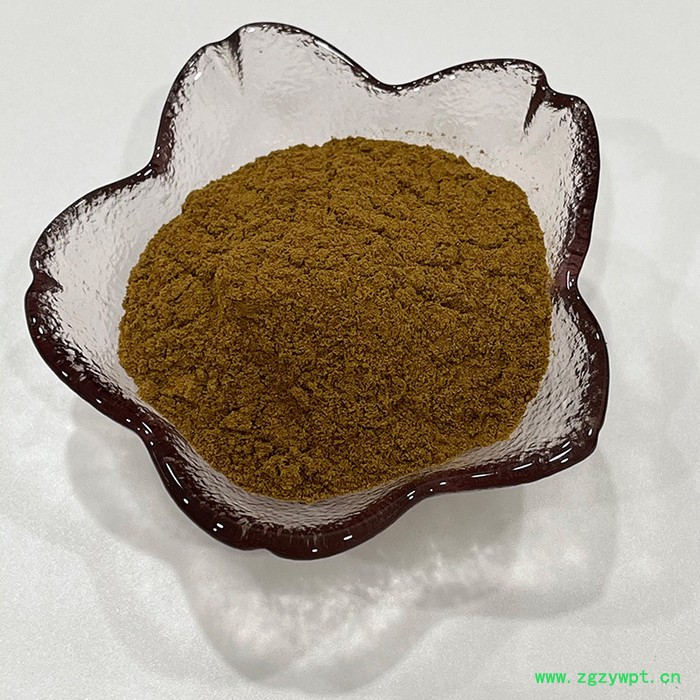 金萃坊厂家现货供应 白桦茸提取物 白桦茸多酚10% 天然提取物图2