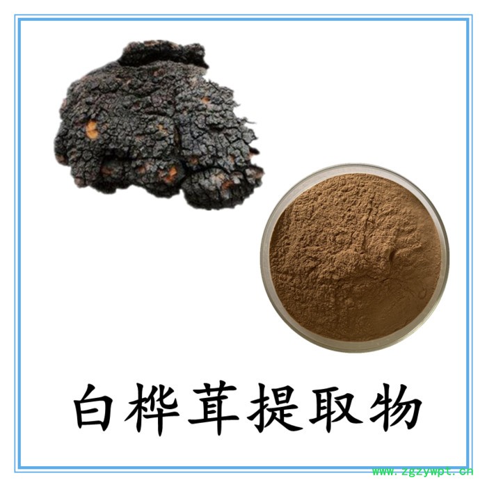 白桦茸粉 可定制 六盘韵 水溶 全国包邮图8