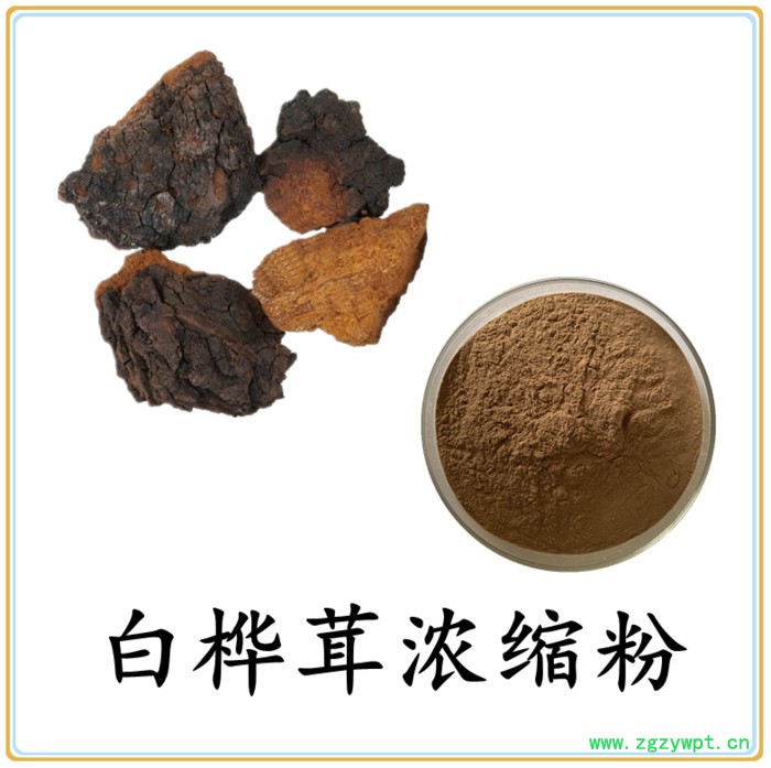 白桦茸粉 可定制 六盘韵 水溶 全国包邮图6