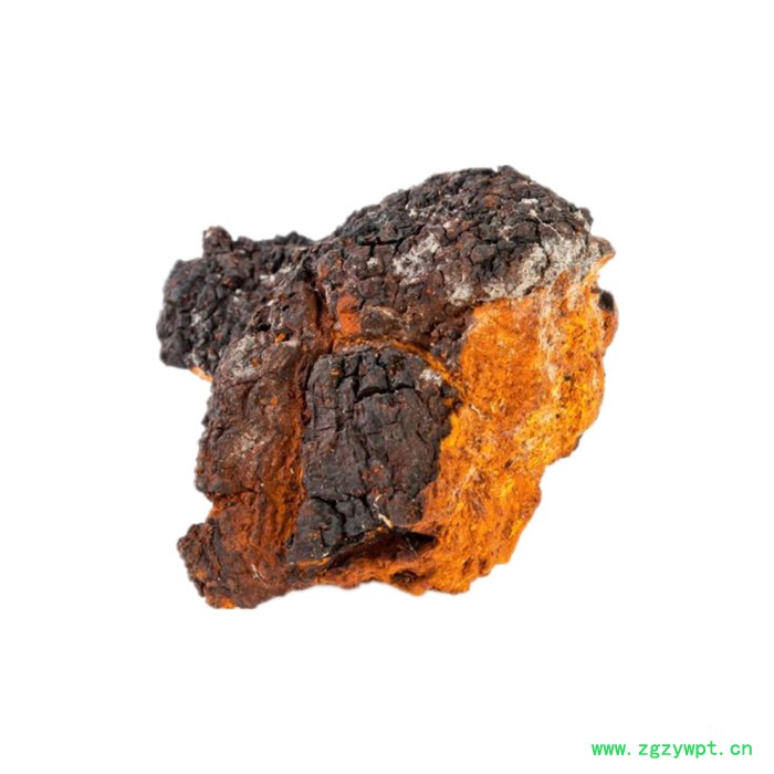 白桦茸粉 可定制 六盘韵 水溶 全国包邮图5