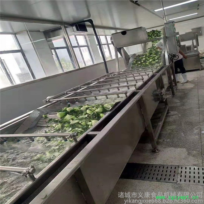 义康牌QX-3000型菌菇清洗机 海鲜菇清洗机 猴头菇清洗流水线图7