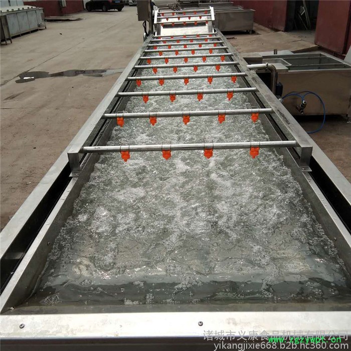 义康牌QX-3000型菌菇清洗机 海鲜菇清洗机 猴头菇清洗流水线图5