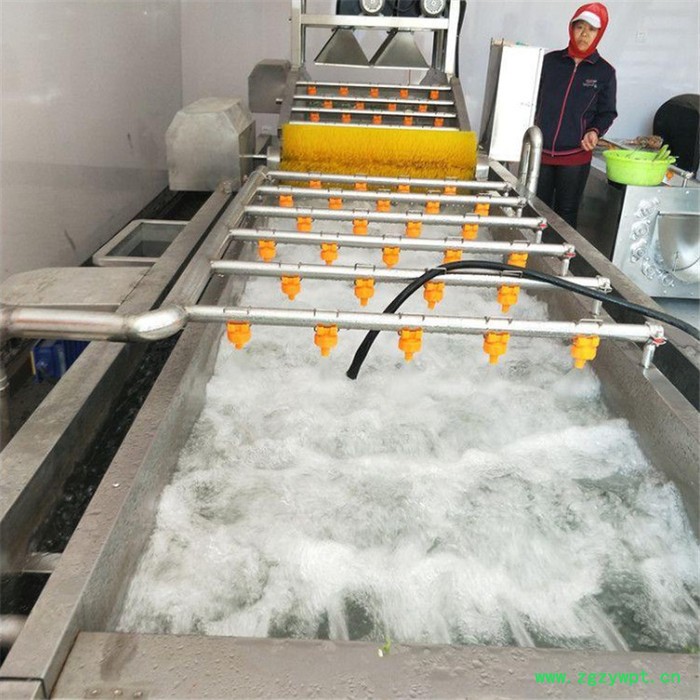 义康牌QX-3000型菌菇清洗机 海鲜菇清洗机 猴头菇清洗流水线图8