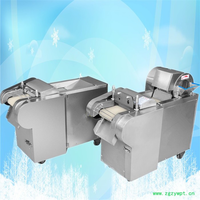 小型瓜果蔬菜专用切菜机 鸡腿菇切丁机 茯神中药材切片机型号图8