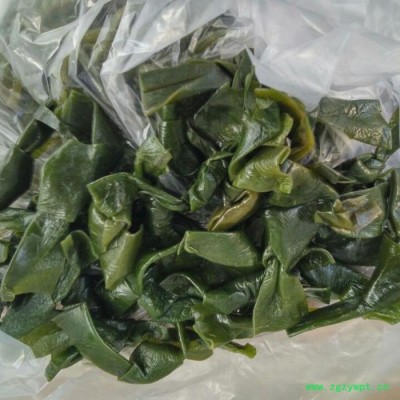 晓晨海产 海带结中结荣成**盐渍海带扣半干货新鲜昆布条片厚海带结2500g  欢迎来电咨询