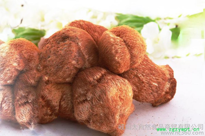 供应大博士200g猴头菇 长白山**养胃猴头菇特产图2