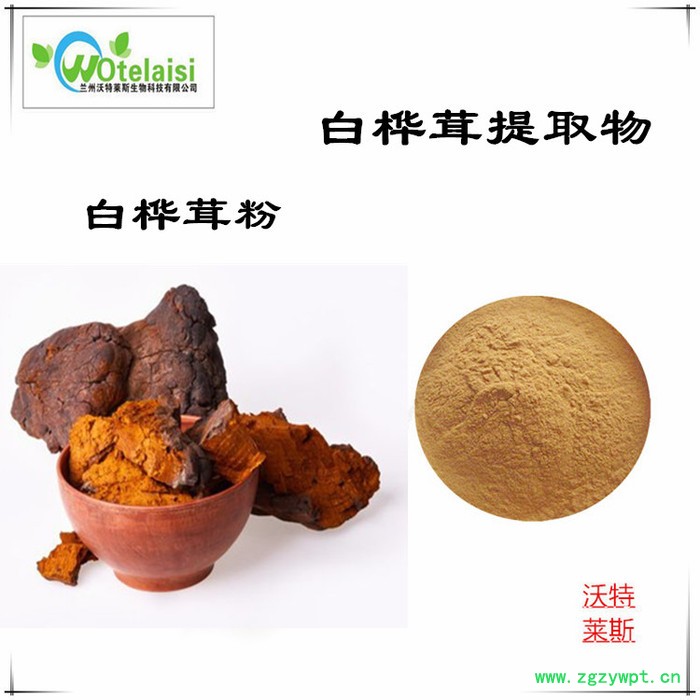 白桦茸多糖30% 50% 白桦茸粉  桦褐孔菌提取物10:1图2