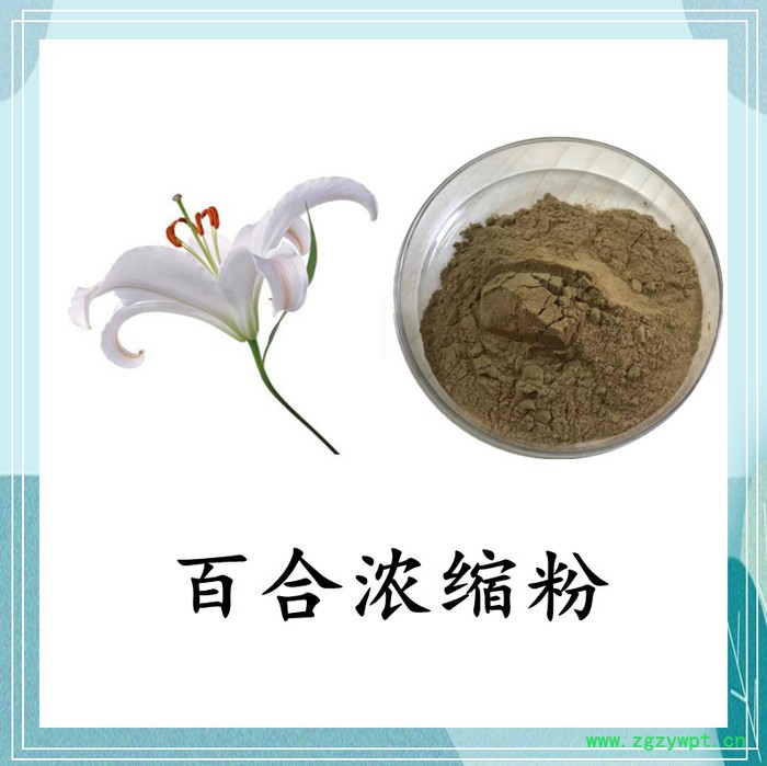 昆布膳食纤维 斯诺特 可定制图3