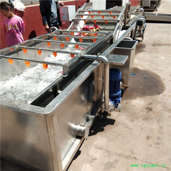 康通QX-3000型 猴头菇气泡清洗机 山芋气泡清洗机 海参气泡清洗机图4