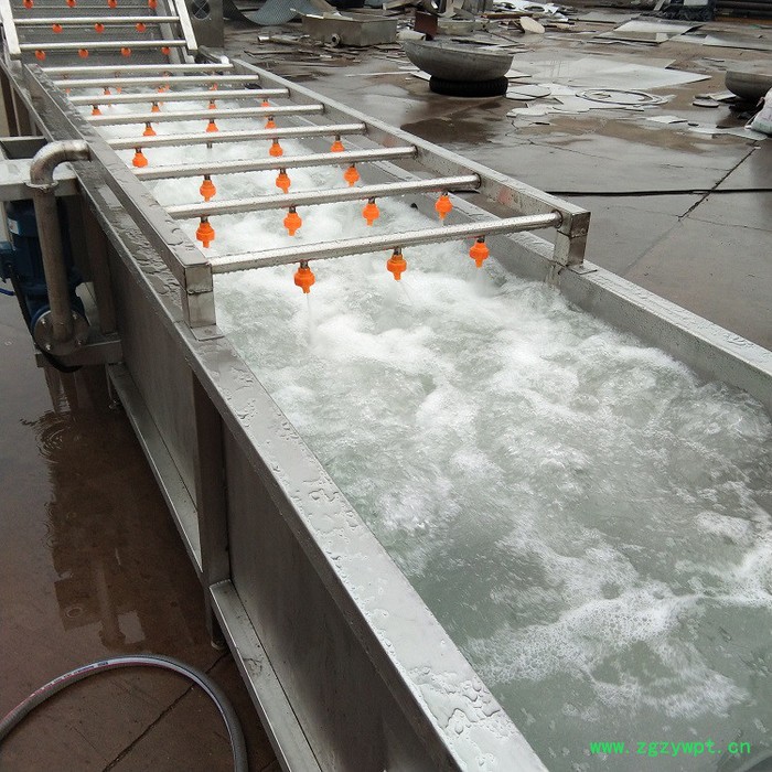 康通QX-3000型 猴头菇气泡清洗机 山芋气泡清洗机 海参气泡清洗机图2