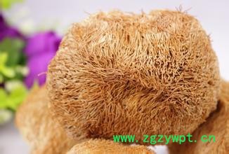 四川山客优品   猴头菇  养胃图2