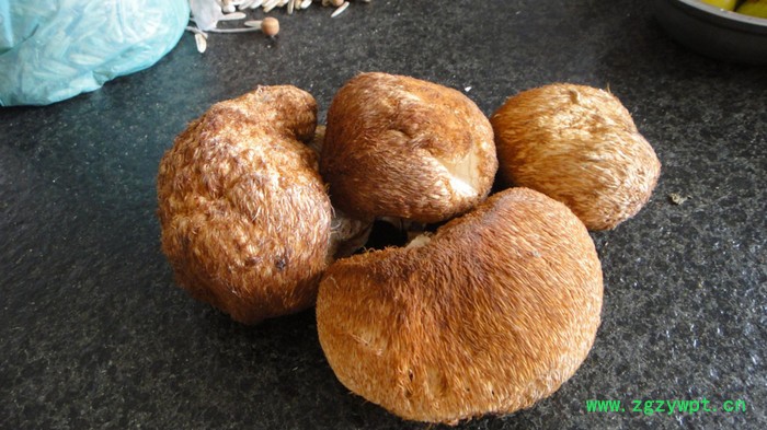 四川山客优品   猴头菇  养胃图5