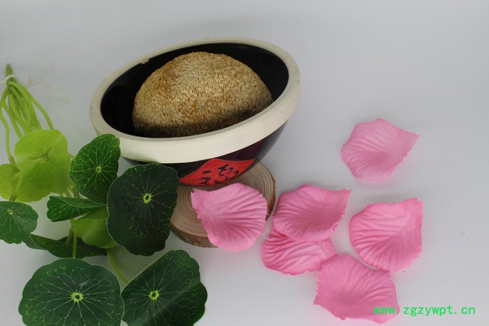 四川山客优品   猴头菇  养胃图3