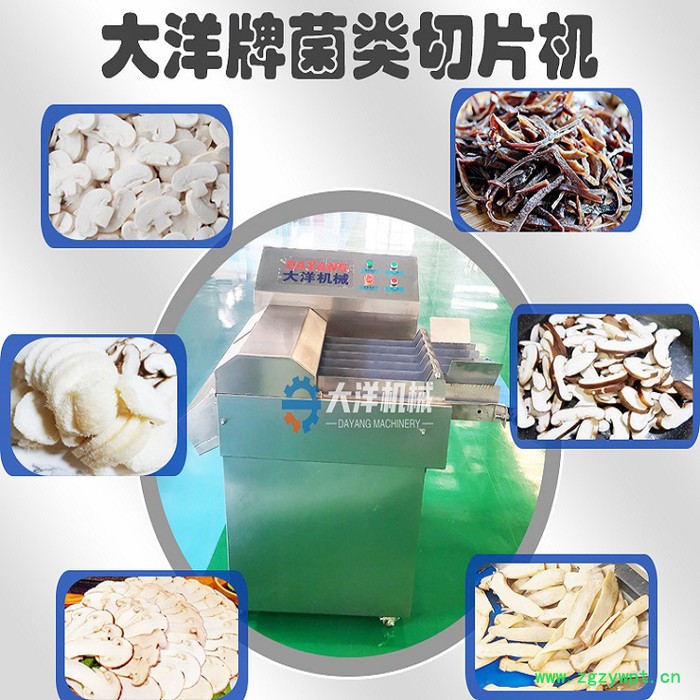 厂家销售新款菌类切片机 连续式双孢菇切片设备 虎掌菌切片机图7
