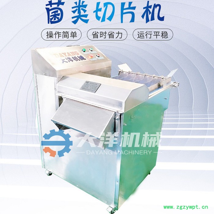 厂家销售新款菌类切片机 连续式双孢菇切片设备 虎掌菌切片机图6