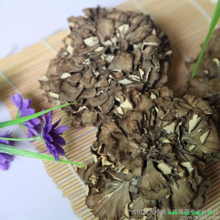 供应 古田县大桥镇玉耳果蔬专业合作社大量供应特级灰树花肉脆味香降血压图2